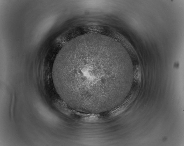 X0000098110573200804041347