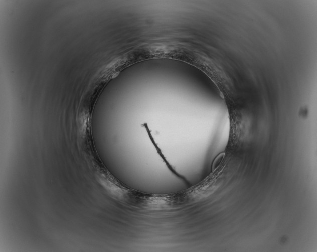 X0000098110574200804041347
