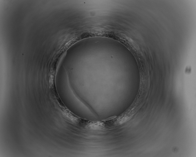 X0000098110576200804041347