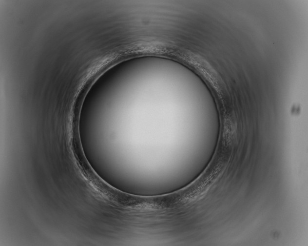 X0000098110578200804041346