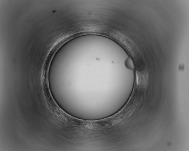 X0000098110579200804041346
