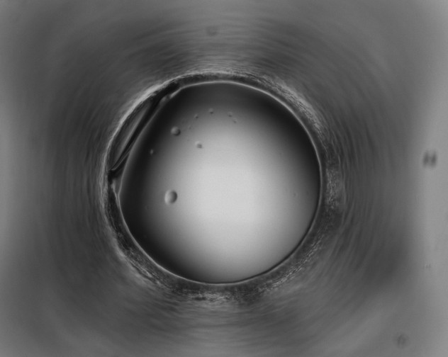 X0000098110580200804041346