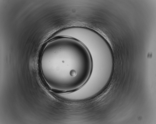 X0000098110581200804041346