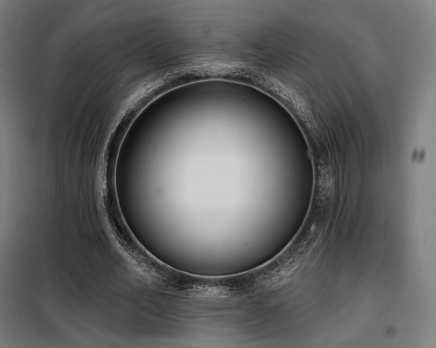 X0000098110582200804041346