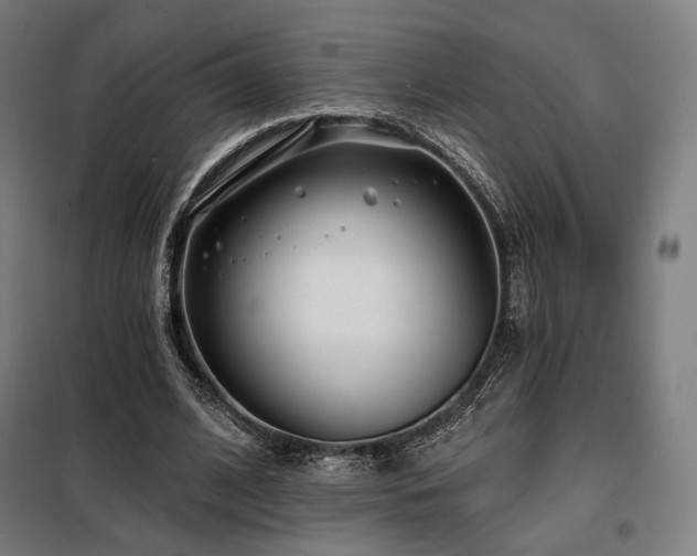 X0000098110584200804041346