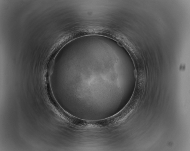 X0000098110585200804041346