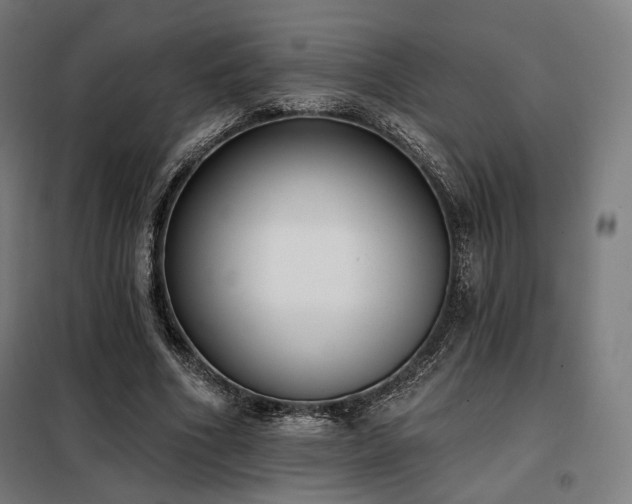 X0000098110586200804041346