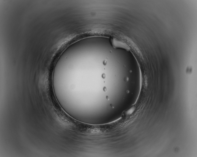 X0000098110588200804041346