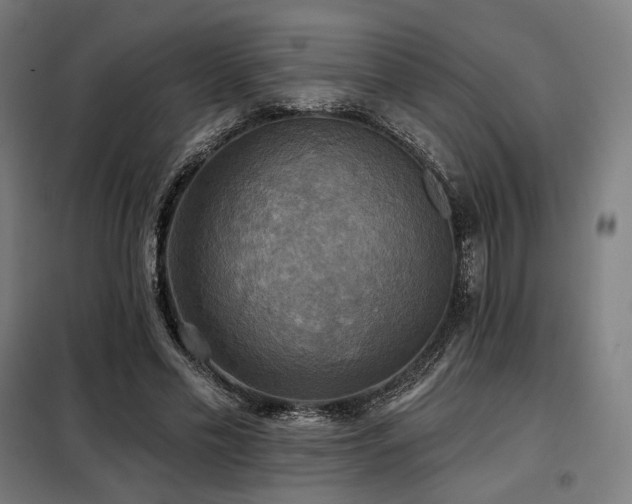 X0000098110589200804041346