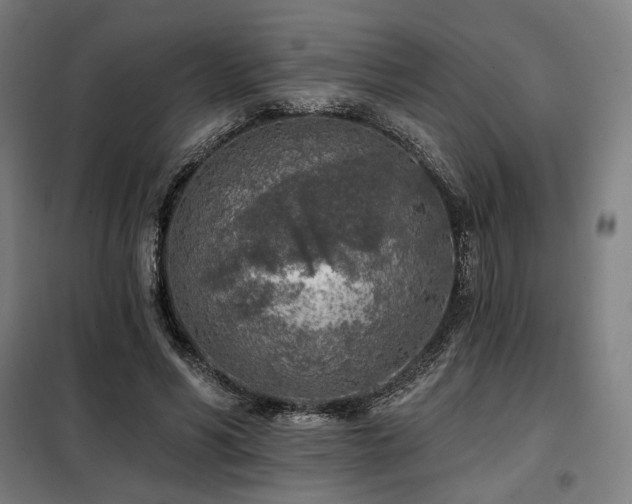 X0000098110590200804041346