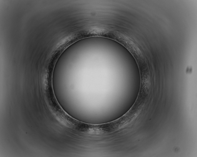X0000098110591200804041346