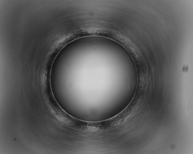 X0000098110592200804041346