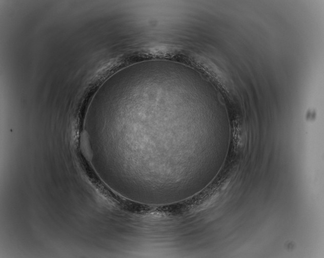 X0000098110593200804041346