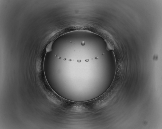 X0000098110596200804041346