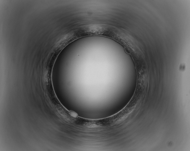 X0000098110597200804041346