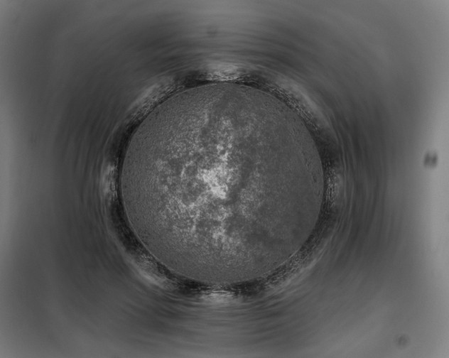 X0000098110598200804041346