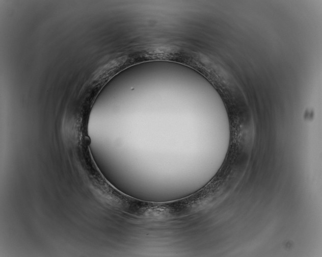 X0000098110599200804041346