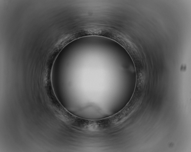 X0000098110600200804041346