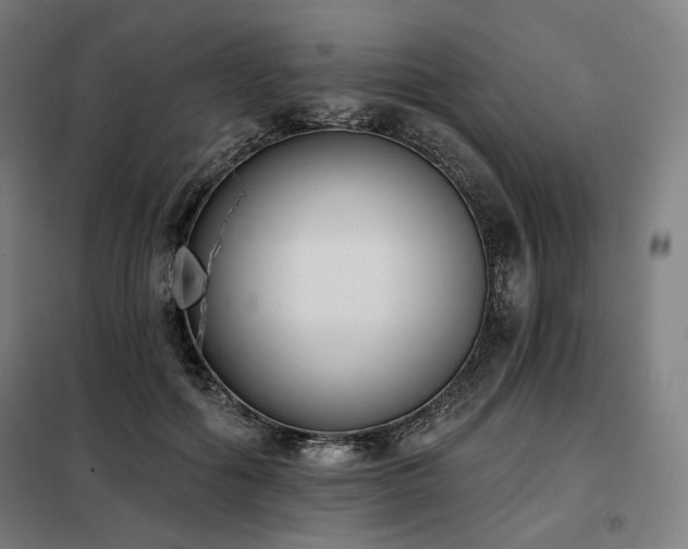X0000098110602200804041346