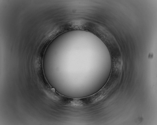 X0000098110603200804041346