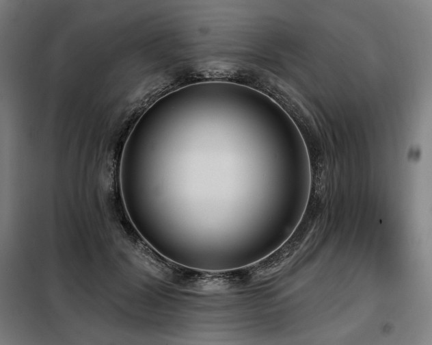 X0000098110604200804041346