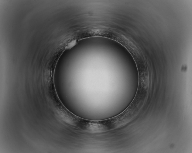X0000098110605200804041346
