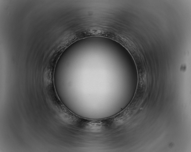 X0000098110606200804041346