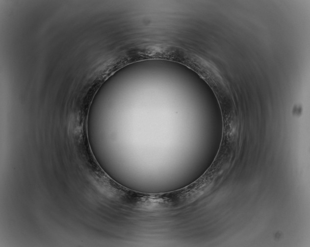 X0000098110607200804041346