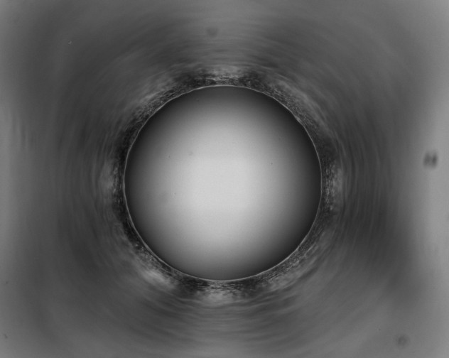 X0000098110608200804041346