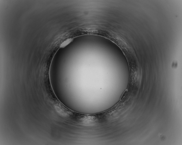 X0000098110609200804041346
