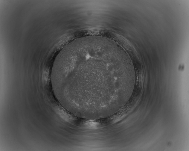 X0000098110610200804041346