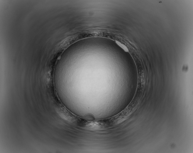 X0000098110611200804041346