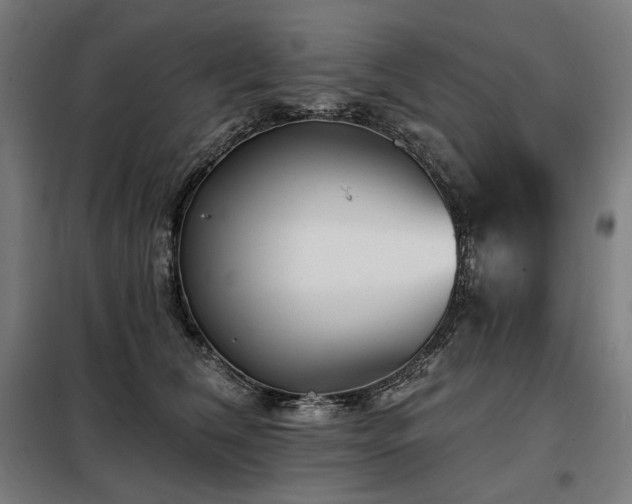 X0000098110612200804041345