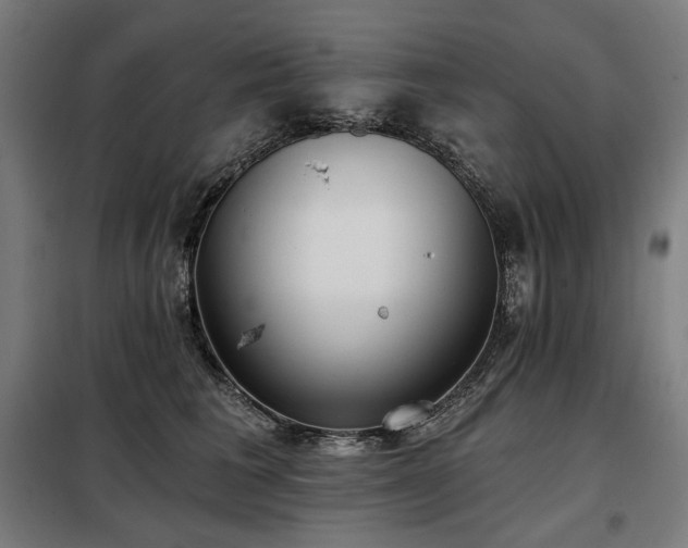 X0000098110613200804041345
