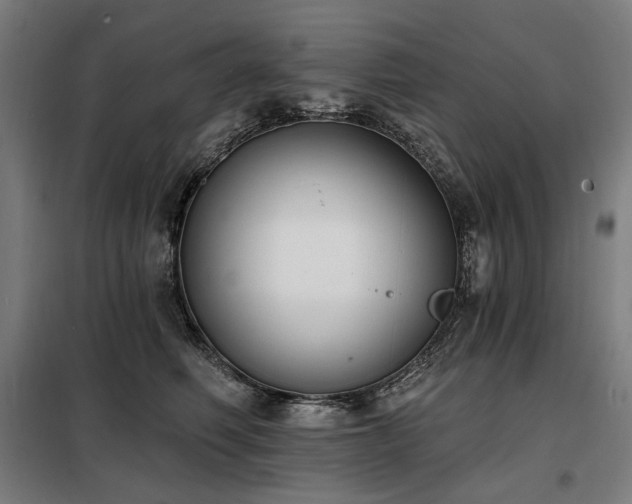 X0000098110614200804041345