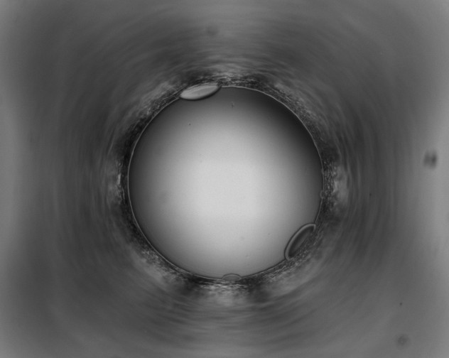 X0000098110615200804041345
