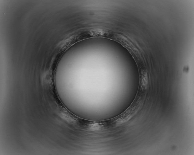 X0000098110616200804041345