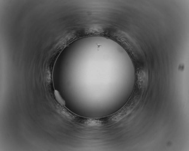 X0000098110617200804041345