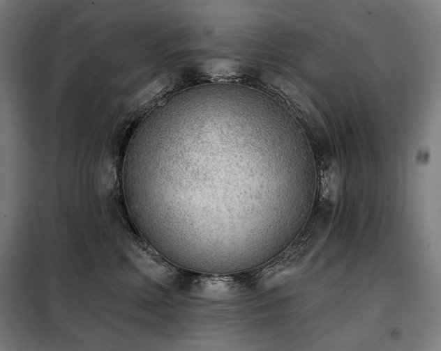 X0000098110618200804041345