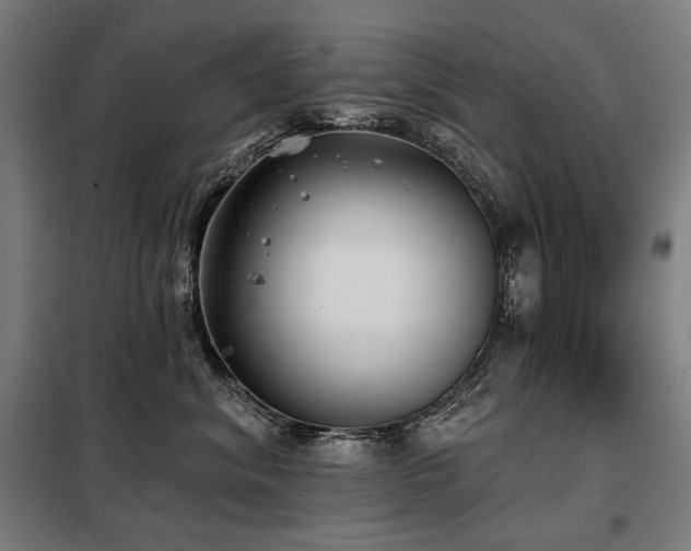 X0000098110620200804041345