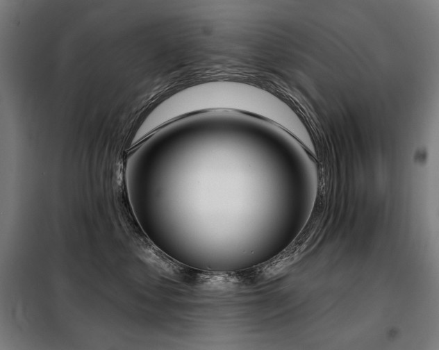 X0000098110621200804041345