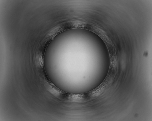 X0000098110622200804041345