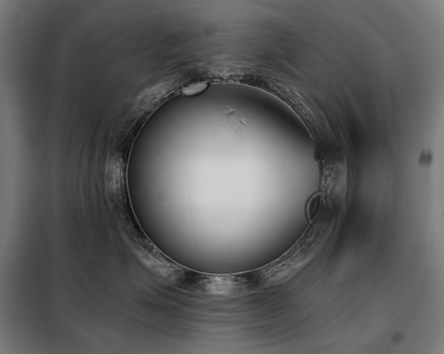X0000098110623200804041345