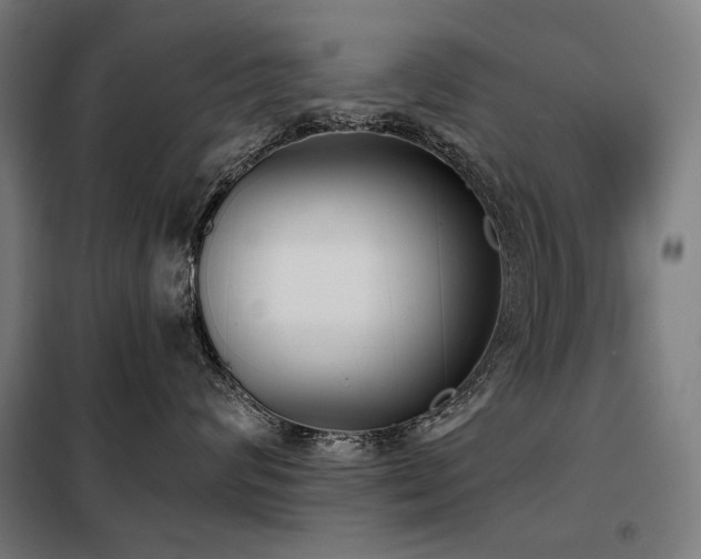 X0000098110624200804041345