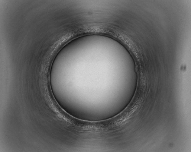 X0000098110625200804041344