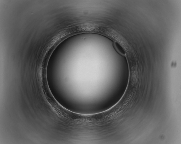 X0000098110626200804041345