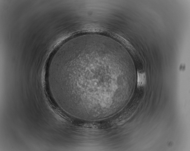 X0000098110627200804041345