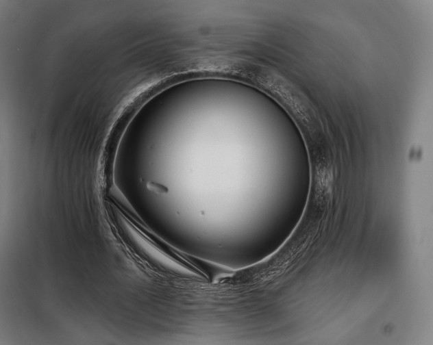 X0000098110628200804041345