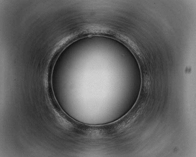 X0000098110629200804041345