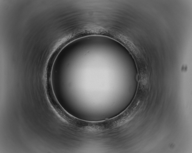 X0000098110630200804041345
